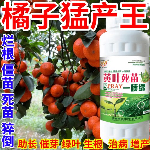 橘子猛产王喷绿变绿保花保果蔬菜花卉果树植物小叶黄叶卷叶叶面肥