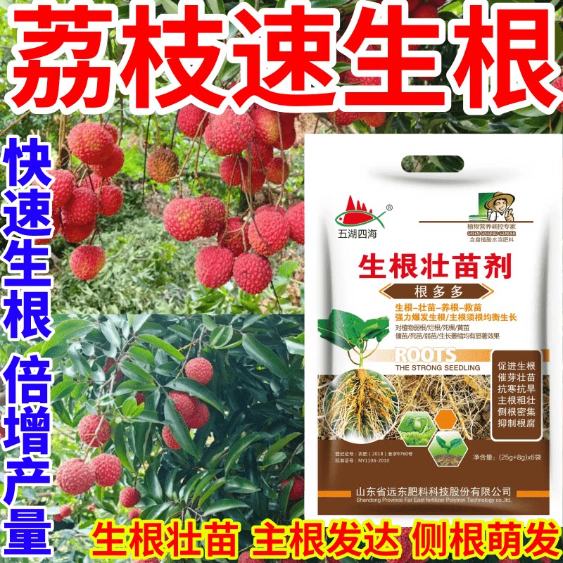 荔枝速生根叶面肥扦插移栽猛生根原液腐殖酸水溶肥料育苗膨大根茎