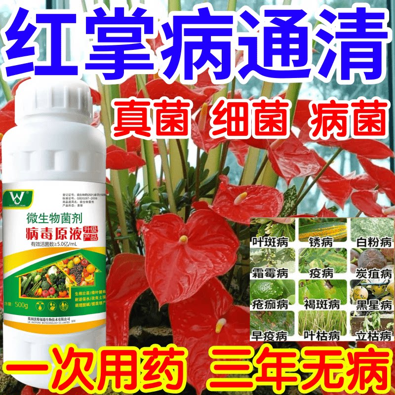 红掌病通清黑星病立枯病疫病锈病果树蔬菜花卉生根壮苗增产杀菌剂
