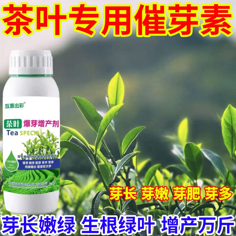 茶叶专用催芽素树专用肥茶叶催芽剂芽长嫩绿抗寒提前出芽芽多壮