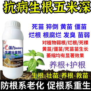 抗病生根五米深生根养根护生根原液快速生根剂正品强力养根发根剂