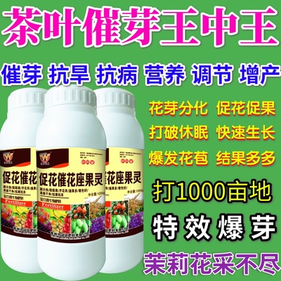 茶叶催芽王中王促花催花座果灵营养液催产肥料蔬菜果树授粉防落素