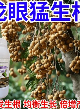 龙眼猛生根生根剂移栽树木营养液快速生根复活神器强力生根壮苗剂