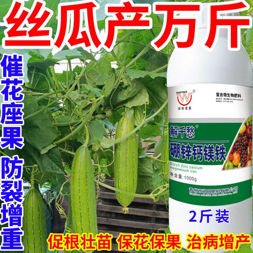 丝瓜产万斤钙镁硼锌铁绿叶靓果膨果多果美果提质丰产促花促果作物