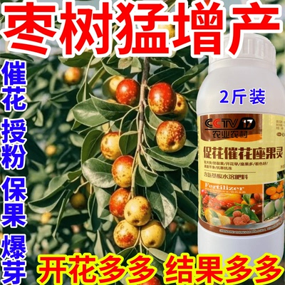 枣树猛增产果肥壮花壮果座果精防落素果树瓜果蔬菜授粉膨大叶面肥