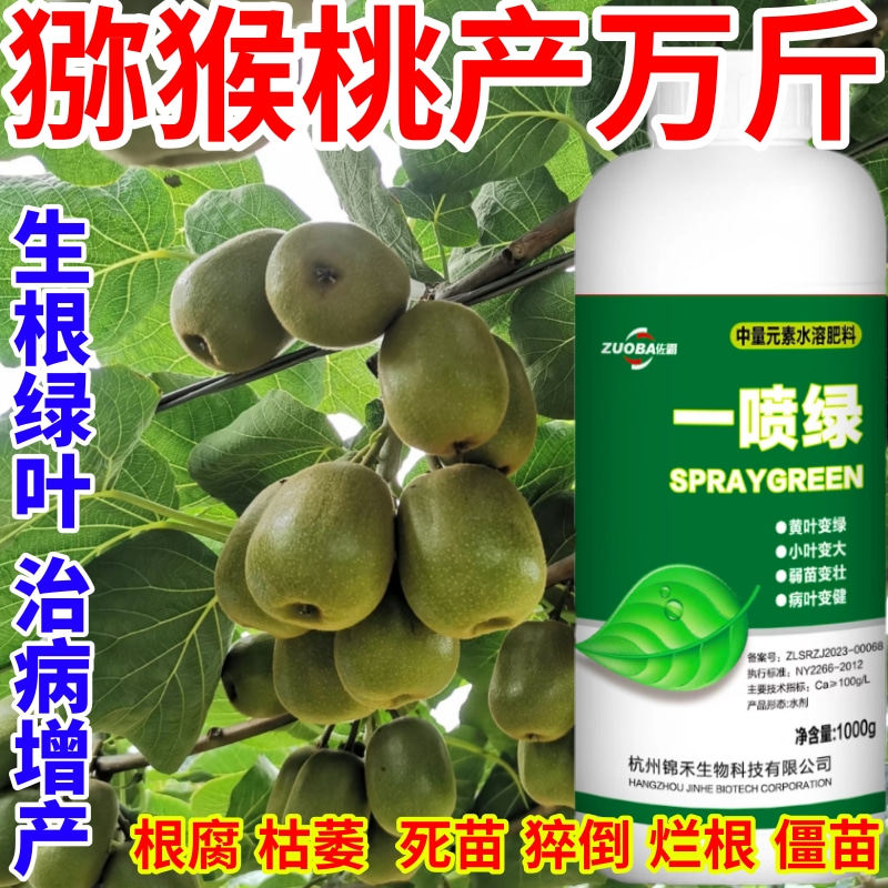 猕猴桃产万斤叶小叶卷叶落叶茶叶水果蔬菜经济作物通用营养叶面肥