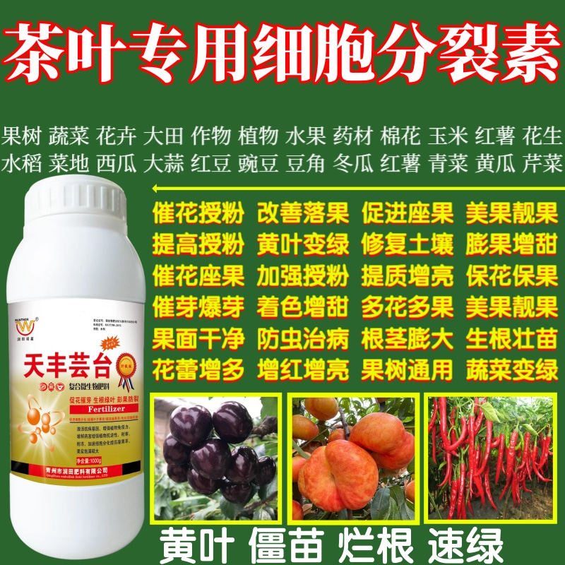 茶叶专用细胞分裂素提高座果率保花保果增产增收植物蔬菜叶面肥料
