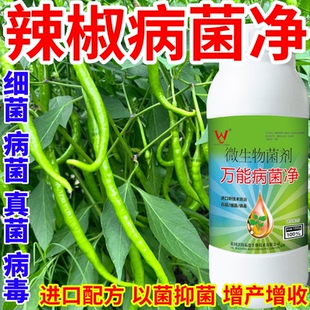 辣椒病菌净蔬菜花卉稻瘟病病毒白粉病灰霉病锈病病害清一喷清