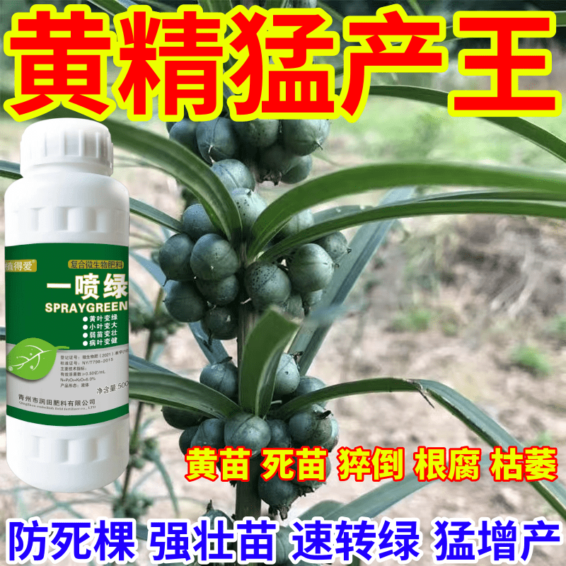 黄精猛产王王死苗一喷绿通用植物蔬菜花卉果树绿叶微量元素肥农用