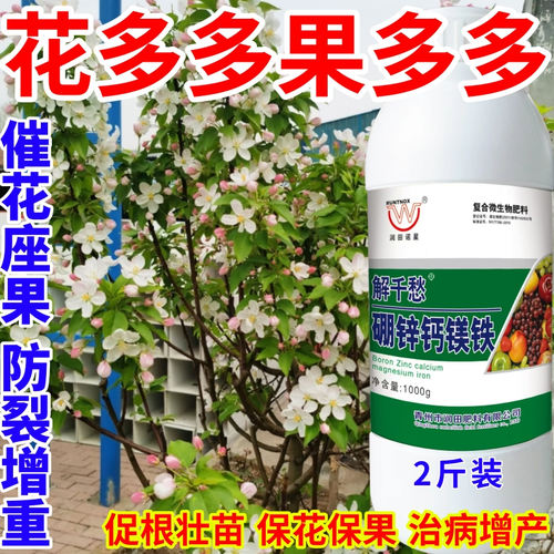 花多多果多多镁硼锌铁绿叶靓果膨果多果美果提质丰产促花促果作物