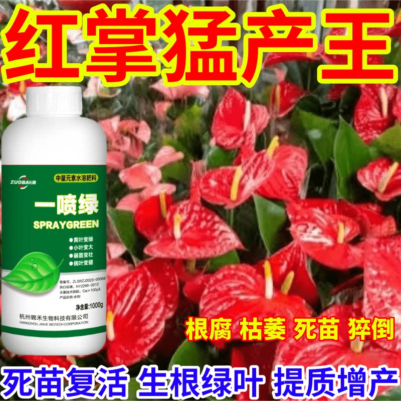 红掌猛增产绿死苗烂根防根腐蔬菜果树绿植花卉通用绿叶壮叶面肥