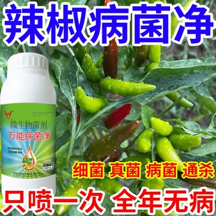 辣椒病菌净果树蔬菜花卉稻瘟病病毒白粉病灰霉病锈病病害清一喷清