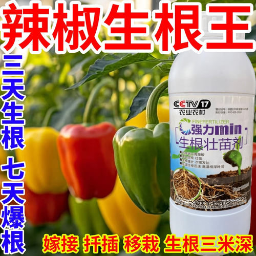 辣椒生根王强力生根粉生根剂壮苗发根生根剂扦插移栽通用水溶肥料
