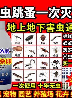 臭虫跳蚤一次灭净家用无味室内强效型驱蚊子灭苍蝇药室内杀虫灭蚊