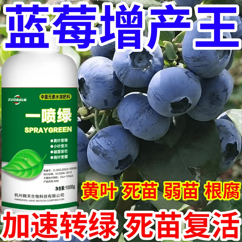 蓝莓增产王黄叶死苗烂根防根腐蔬菜果树绿植花卉生根壮苗叶面肥料