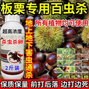 板栗专用百虫杀下害虫通杀红蜘蛛黏虫果树蔬菜花卉通用农药杀虫剂