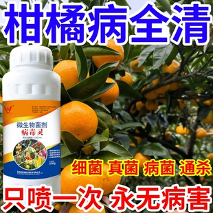 柑橘病全清菌速效万能病菌净微生物菌剂肥料专治所有病菌作物通用