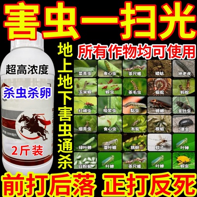 害虫一扫光蜘蛛果树蔬菜花卉触杀胃毒保质保量前打后落农药杀虫剂