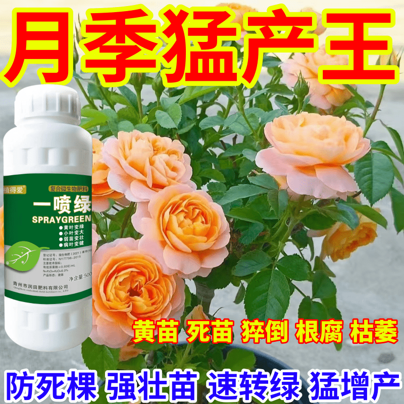 月季猛产王王死苗一喷绿通用植物蔬菜花卉果树绿叶微量元素肥农用