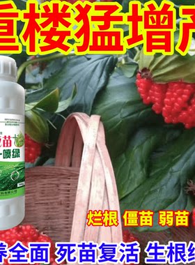 重楼猛增产正品蔬菜瓜果果树水溶专用微量元素快速绿色叶面肥
