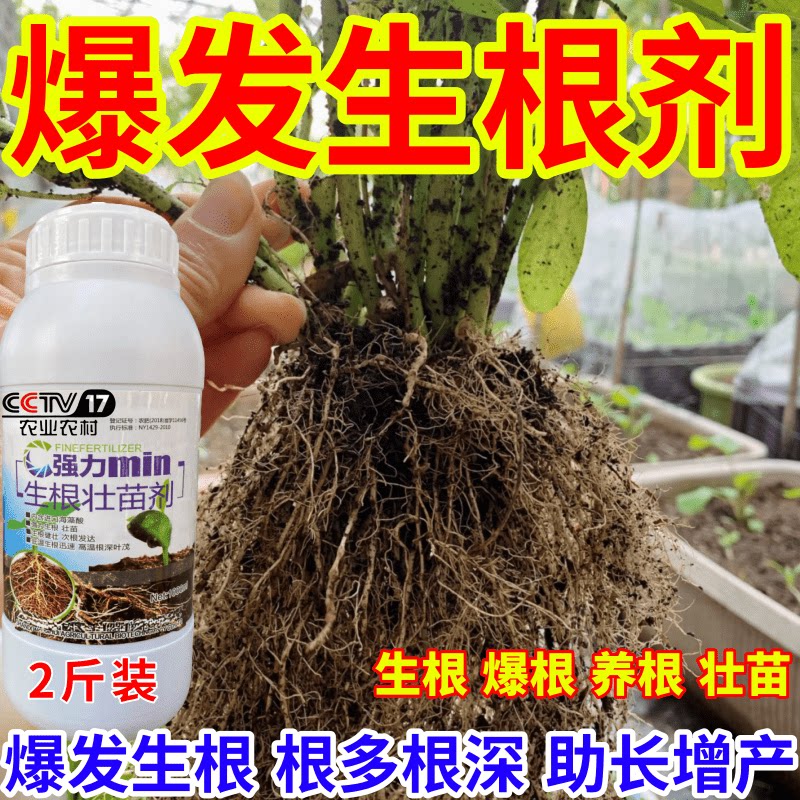 爆发生根剂生根壮苗剂速效生根液大树移植苗木扦插果树蔬菜生根剂