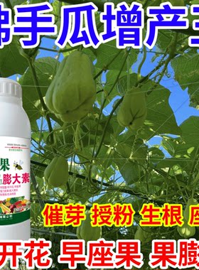 佛手瓜增产王开花防裂果除果锈膨大素生根增产增收果树蔬菜叶面肥