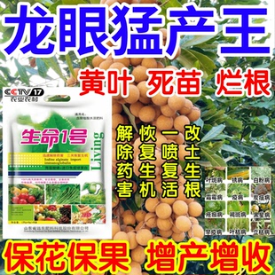 龙眼猛产王黄叶死苗烂根根腐一喷复活果树蔬菜花卉生根绿叶叶面肥