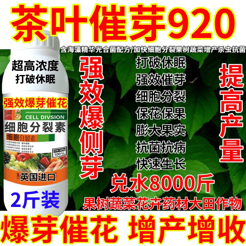 茶叶催芽920细胞分裂素蔬菜果树花植物茉莉花茶树多肉爆芽增产
