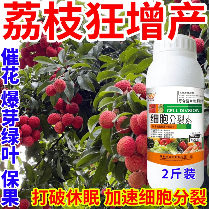 荔枝狂增产果树叶面肥爆芽素促花芽分化增产增收催芽剂细胞分裂素