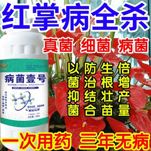 红掌病全杀以菌抑菌病菌壹号生根绿叶生物防治果树蔬菜花卉杀菌剂