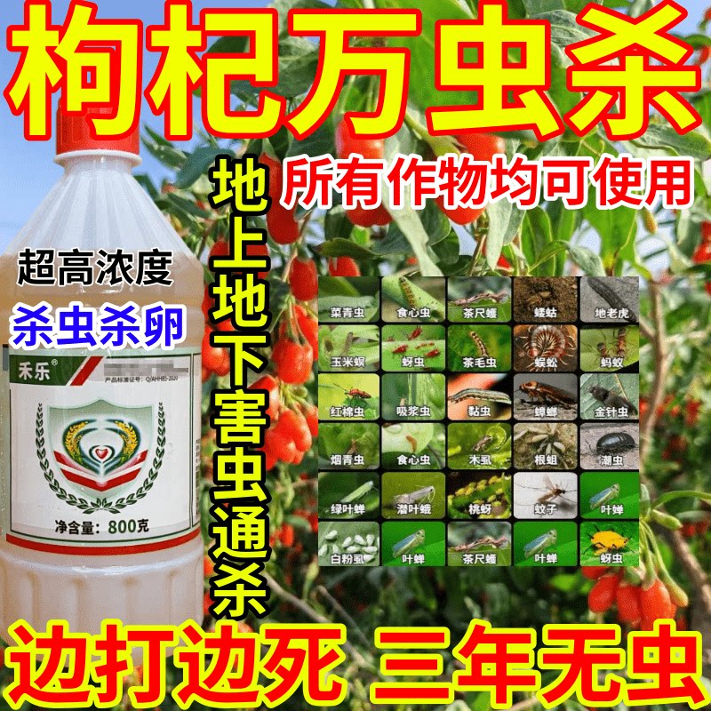 枸杞万虫杀虫地蛆虫黏虫果树蔬菜花卉胃毒内吸杀虫杀卵农药杀虫剂