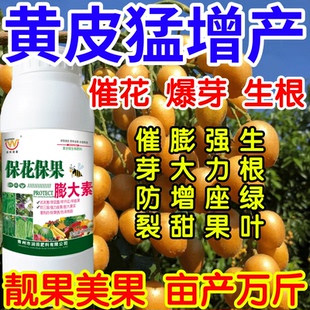 黄皮猛增产花保果素蔬菜专用膨大剂水果增大剂防裂防落靓果叶面肥