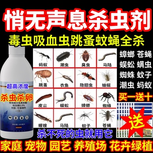 悄无声息杀虫剂高效灭虫杀虫剂蟑螂蚊子跳蚤室内户外养殖场速杀