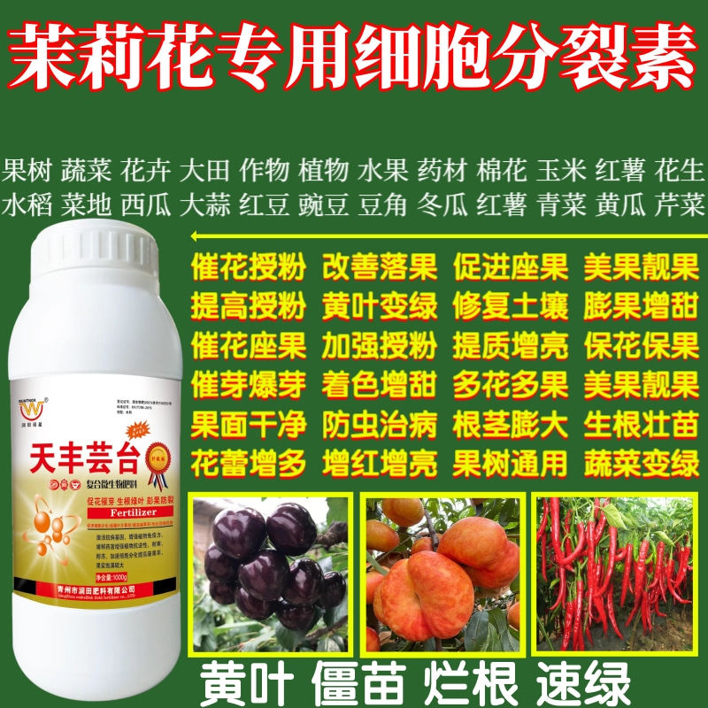 茉莉花专用细胞分裂素高座果率保花保果增产增收植物蔬菜叶面肥料