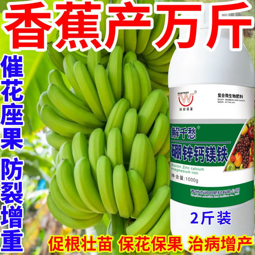香蕉产万斤钙镁硼锌铁绿叶靓果膨果多果美果提质丰产促花促果作物