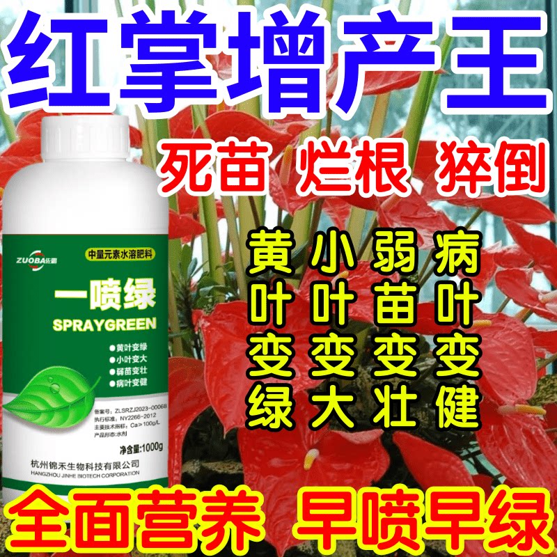 红掌增产王黄叶死苗根腐猝倒僵苗弱苗一喷复活果树蔬菜花卉叶面肥