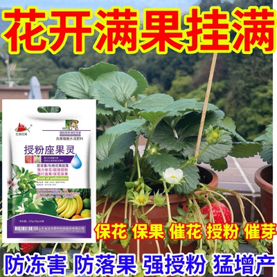 花开满果挂满灵催芽促花催花提高授粉率座果保花保果防落防畸形果