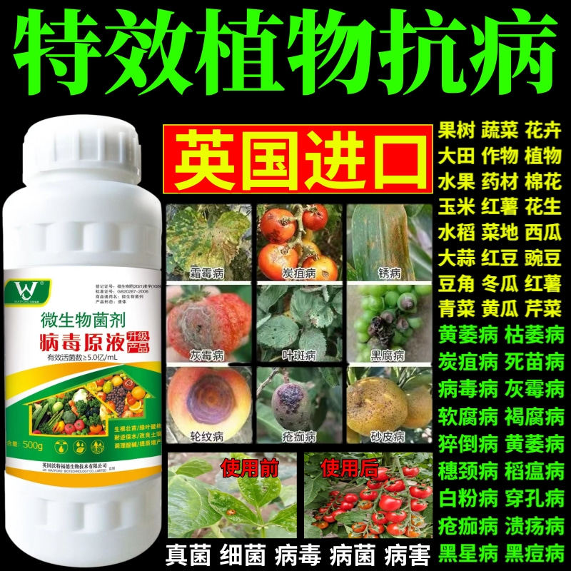 特效植物抗病能杀菌剂预防白粉病灰霉病稻瘟病锈病等真菌细菌病害