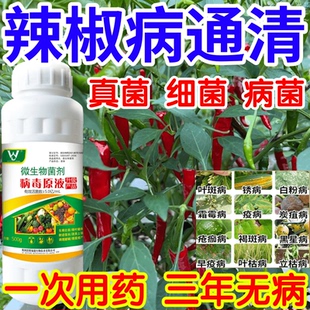 辣椒病通清黑星病立枯病疫病锈病果树蔬菜花卉生根壮苗增产杀菌剂