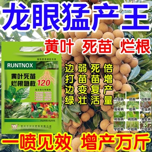 龙眼猛产王黄叶变绿小叶变弱苗变壮治病增产叶面肥料果树蔬菜花卉