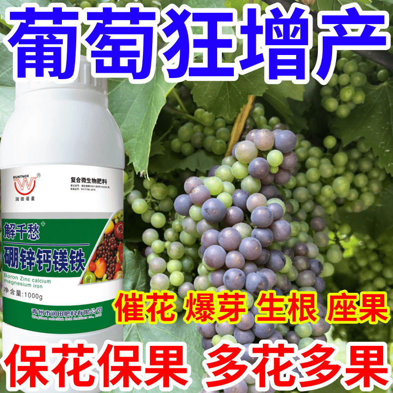 葡萄狂增产硼钙镁铁微量元素肥料靓果美果增产果树蔬菜花卉叶面肥