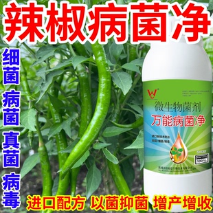 辣椒病菌净果树蔬菜花卉稻瘟病病毒白粉病灰霉病锈病病害清一喷清