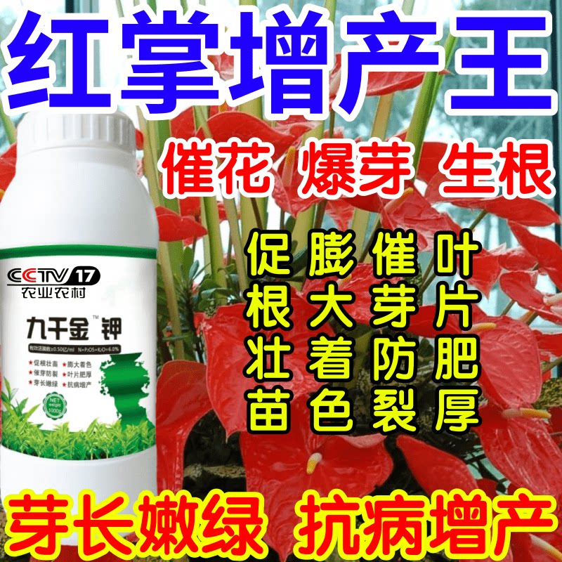红掌增产王催花爆芽壮苗绿叶生根果树蔬菜花卉通用芽长嫩绿叶面肥