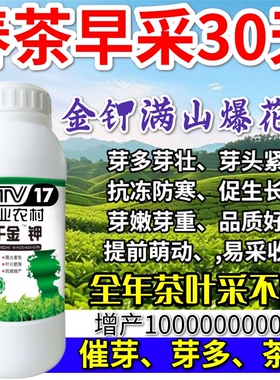春茶早采30天九百金钾九千金钾叶面肥茶树春芽剂催芽抗菌肥料