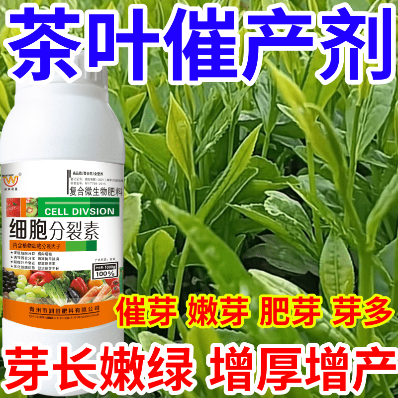 茶叶催产剂长嫩绿茶叶催芽王强力催芽猛产爆芽提前发芽增产叶面肥