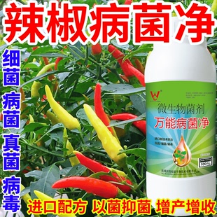 辣椒病菌净蔬菜花卉稻瘟病病毒白粉病灰霉病锈病病害清一喷清