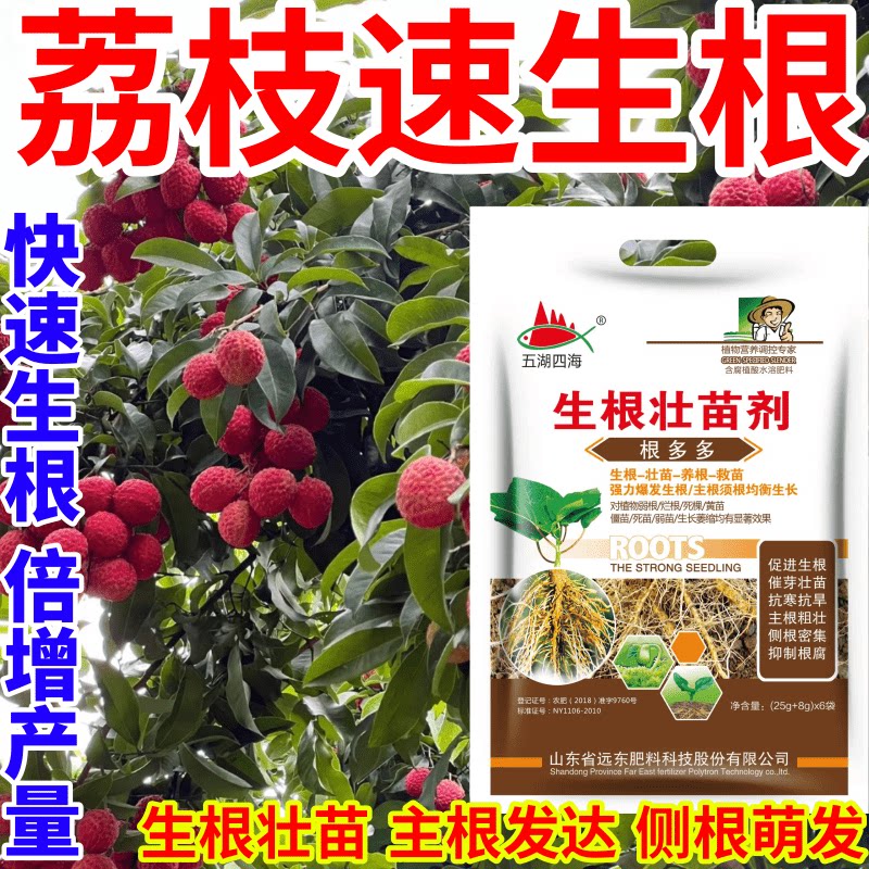 荔枝速生根叶面肥扦插移栽猛生根原液腐殖酸水溶肥料育苗膨大根茎