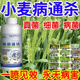 小麦病通杀抗病毒病毒真菌细菌白粉病炭疽病果树蔬菜花卉杀菌剂