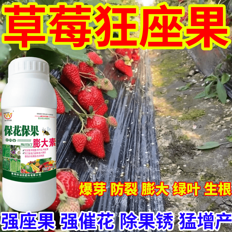 草莓狂座果膨大素增产预防畸形防裂果除果锈高产果树蔬菜肥营养液