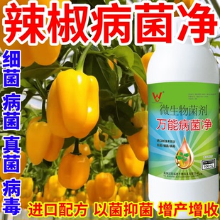 辣椒病菌净蔬菜花卉稻瘟病病毒白粉病灰霉病锈病病害清一喷清